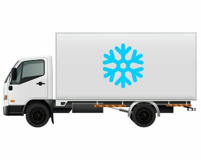 Frozen-delivery-vehicle-logo